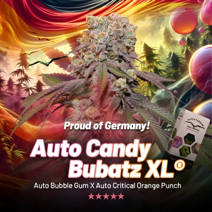 Semillas de marihuana feminizadas autoflorecientes Auto Candy Bubatz XL de Dutch Passion Seeds, logo.