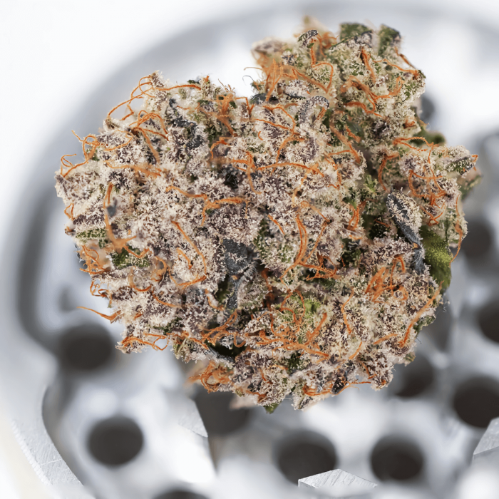 Semillas de marihuana feminizadas autoflorecientes Auto Mimosa Punch de Dutch Passion Seeds, resina.