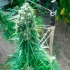 Pamir Gold de Dutch Passion - Semillas feminizadas de marihuana, cogollo enorme.