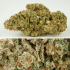 Auto sfv og de Dutch Passion - Semillas feminizadas de marihuana, resina.