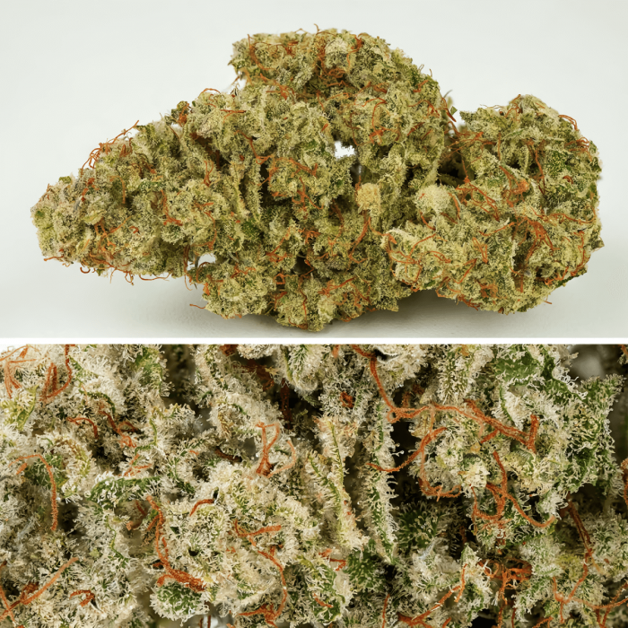 Auto sfv og de Dutch Passion - Semillas feminizadas de marihuana, resina.