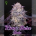 Semillas de marihuana feminizadas autoflorecientes Auto King's Juice de Green House Seeds, cogollo.