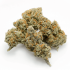 Auto Banana Blaze Dutch Passion - Semillas de marihuana autoflorecientes, resina.