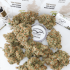Auto Lemon Kix de Dutch Passion - Semillas de marihuana autoflorecientes, cogollos secos.