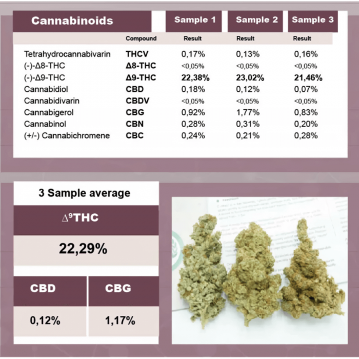 C-Vibez Dutch Passion - Semillas de marihuana feminizadas, analítica.