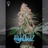 Semillas de Marihuana Feminizada Highcloudz de Green House Seeds, cogollo.
