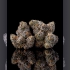 Semillas de marihuana feminizadas Runtz Carlton de Compound Genetics Seeds, cogollos secos.