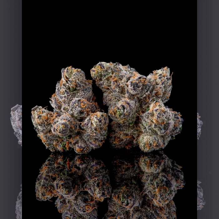 Semillas de marihuana feminizadas Runtz Carlton de Compound Genetics Seeds, cogollos secos.