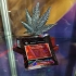 Semillas feminizadas Zorroz de Wizard Trees Seeds, premios.