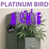 Semillas de marihuana feminizadas Platinum Bird (Purple City Genetics)