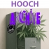 Semillas de marihuana feminizadas Hooch (Purple City Genetics)