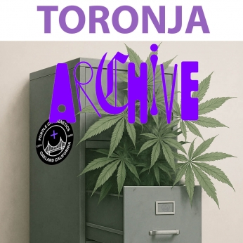 Semillas de marihuana feminizadas Toronja (Purple City Genetics)