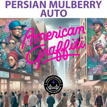 Semillas de marihuana feminizadas Autoflorecientes Auto Persian Mulberry (Purple City Genetics)