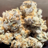 Semillas de marihuana feminizadas Wedding Mintz de Narcotik Seeds, cogollos secos.