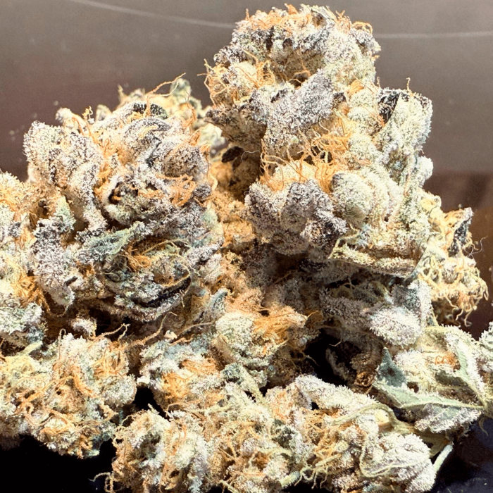 Semillas de marihuana feminizadas Wedding Mintz de Narcotik Seeds, cogollos secos.
