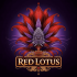 Semillas de marihuana feminizadas Red Lotus de Conscious Seeds, cogollo enorme.