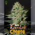 AUTO EXODUS CHEESE (Green House Seeds)