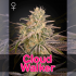 CLOUD WALKER (Green House Seeds)