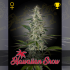 HAWAIIAN SNOW (Green House Seeds)