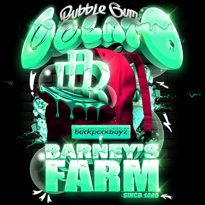 Semillas de marihuana feminizadas Bubblegum Gelato de Barney's Farm x Backpack Boyz.