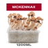 PAN DE SETAS MCKENNAII
