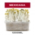 Pan de setas mexicanas (Psilocybe cubensis)