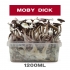 Pan de setas Moby Dick, kit de cultivo.