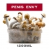 Pan de setas Penis Envy, kit de cultivo.