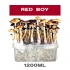 Pan de setas Red Boy, kit de cultivo.