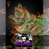 KING'S KUSH (Green House Seeds)