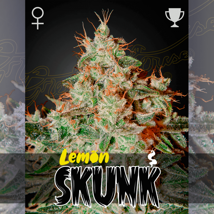 Semillas de Marihuana Lemon Skunk de (Green House Seeds)