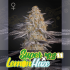 Semillas de marihuana feminizadas Super Lemon Haze x RS11 de Greenhouse Seeds, logotipo.
