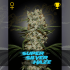 SUPER SILVER HAZE (Green House Seeds)