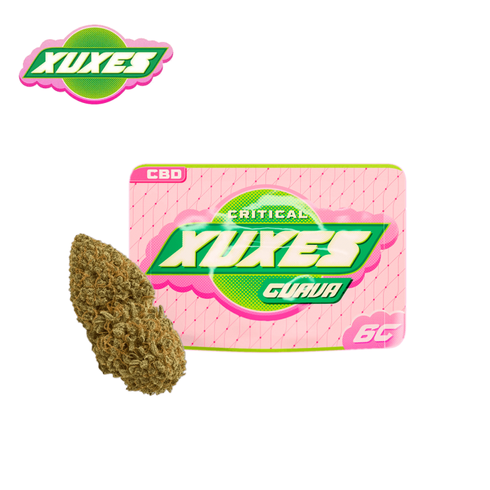 Flores CBD Critical Guava de la marca Xuxes.