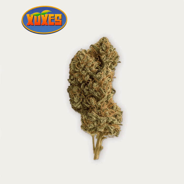 Flores CBD Mandarin Haze de la marca Xuxes, cogollo.