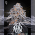 Semillas de marihuana feminizadas Velvet Moon de Green House Seeds.