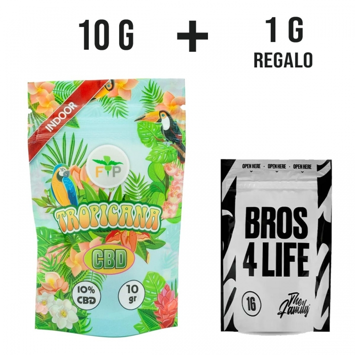 Oferta Cogollos Tropicana CBD FP 10g + BROS 4 LIFE 1g de regalo