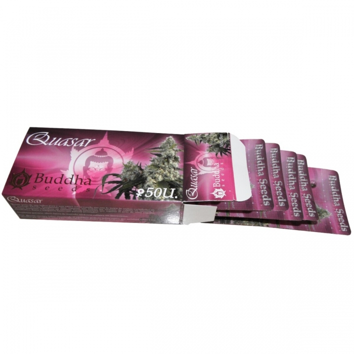 Semillas de marihuana feminizadas Quasar de Buddha Seeds, caja de 50 unidades.
