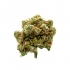 FLORES CBD JACK HERER FP INDOOR