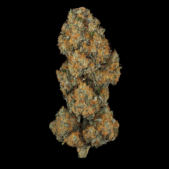 Cogollo de Black Domina de Sensi Seeds