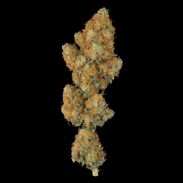 Cogollo marihuana Hindu Kush de Sensi Seeds