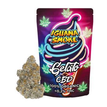 Cogollos CBD Gelato de Iguana Smoke.