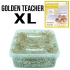 Grow Kit Golden Teacher XL.