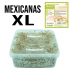 Grow Kit Mexicanas XL. Pan de setas Mexicanas en formato grande