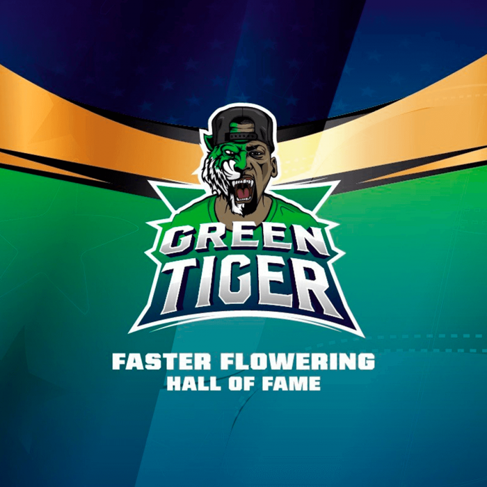 Green Tiger Fast Version (Bsf Seeds), logotipo.