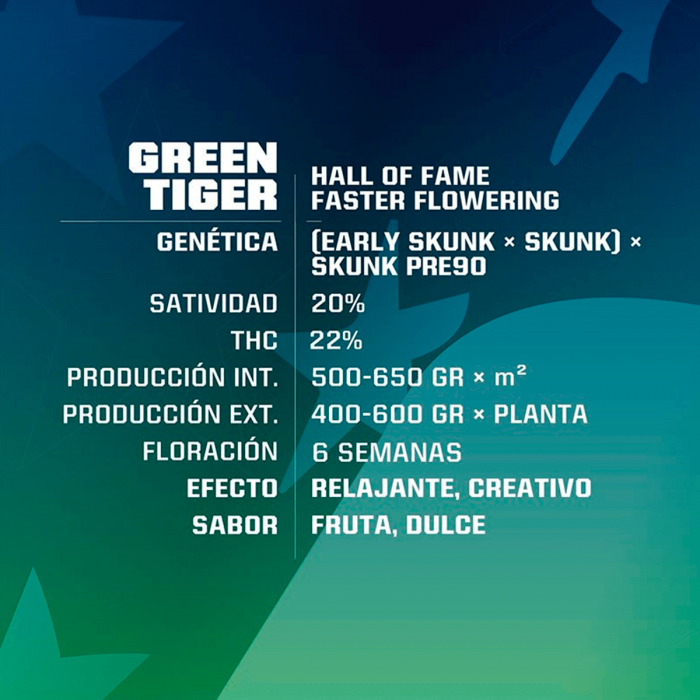 Green Tiger Fast Version (Bsf Seeds), características.