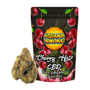 Flores CBD Cherry Haze de 2 gramos Iguana Smoke, olor cereza fresca y cítricos.