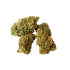 Flores CBD Sour Tsunami de Iguana Smoke, cogollos.