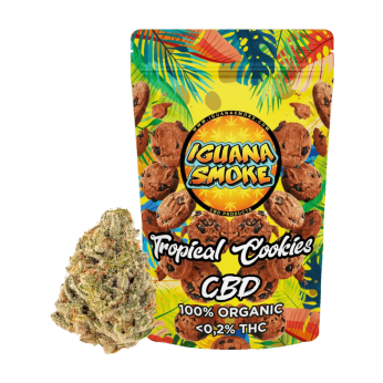 Flores CBD Tropical Cookies de 2 gramos Iguana Smoke, aroma a galletas.