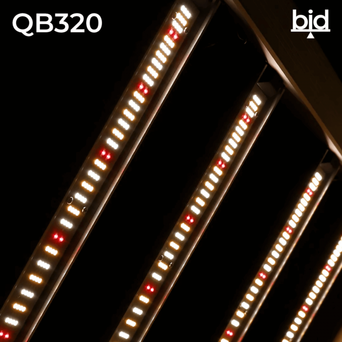 Luminaria LED QB BID de 320W Agrolite, encendida.